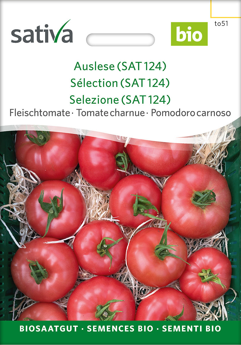 Sativa Fleischtomate Auslese (SAT 124)