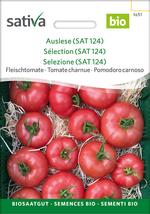 Sativa Fleischtomate Auslese (SAT 124)
