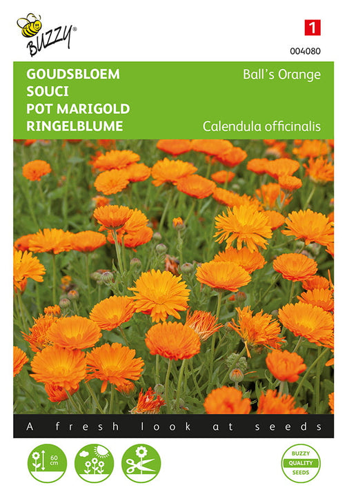 Buzzy Seeds Ringelblumen Ball’s Orange gefüllte