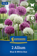 Zierlauch Mix Blue & White