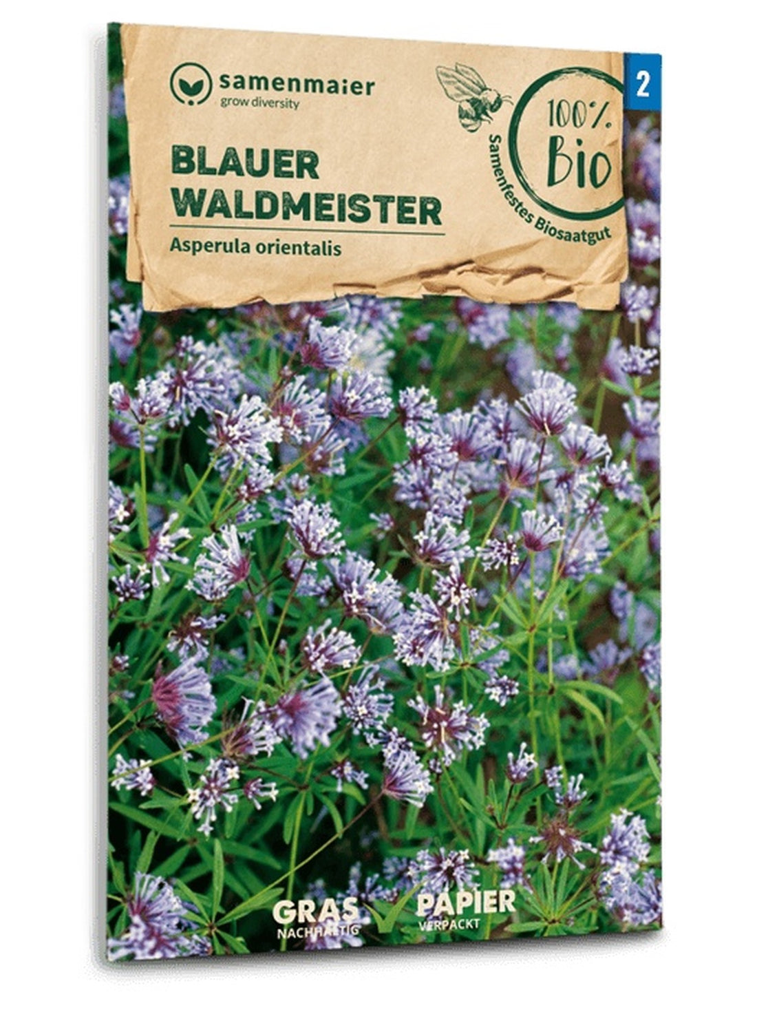 Samen Maier | BIO Waldmeister Blauer | 60 Pflanzen | MHD: 12/2027