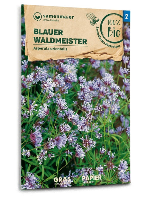 Samen Maier BIO Waldmeister Blauer