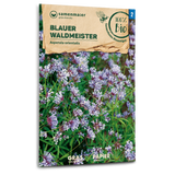 Samen Maier BIO Waldmeister Blauer