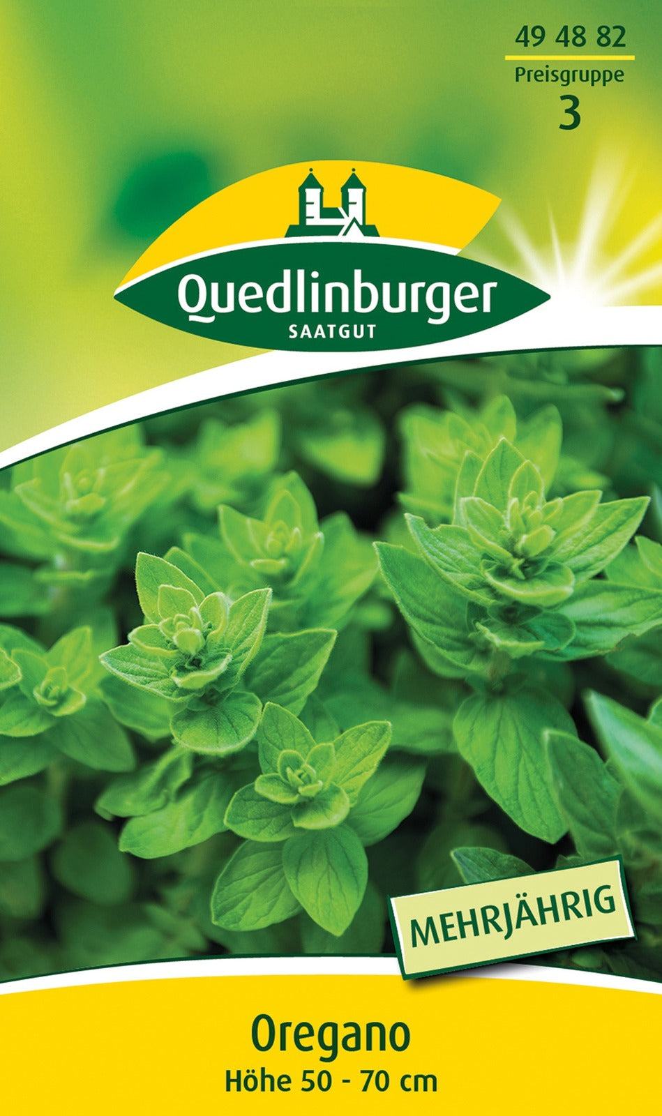Quedlinburger Oregano Dost mehrjährig