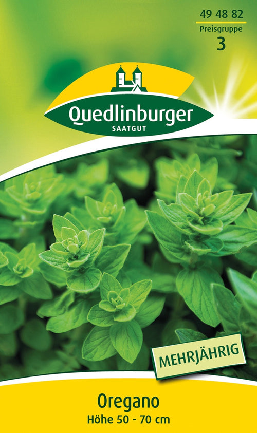 Quedlinburger Oregano Dost mehrjährig