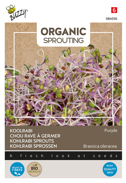 Buzzy Seeds BIO Keimsprossen Kohlrabi blaue