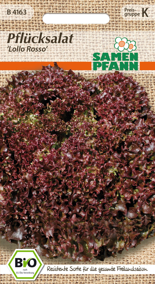 Samen Pfann BIO Pflücksalat Lollo Rossa, Senorita
