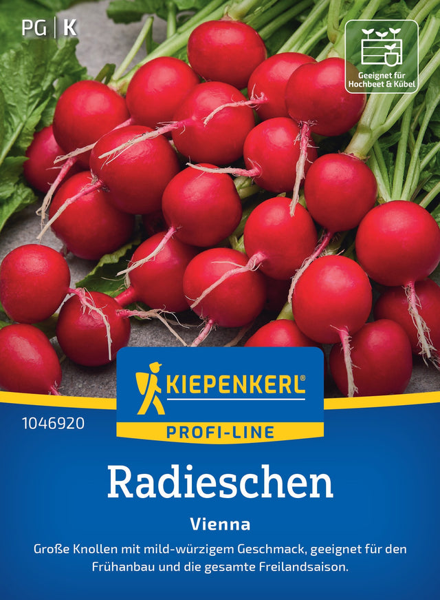 Kiepenkerl Radieschen Vienna