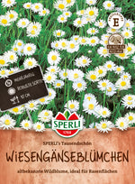 SPERLI Gänseblümchen SPERLI's Tausendschön