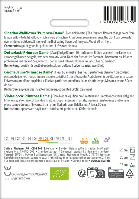 Sativa Dotterlack Primrose Dame