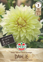 SPERLI Dahlie Kelvin Floodlight
