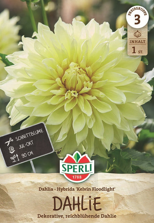 SPERLI Dahlie Kelvin Floodlight