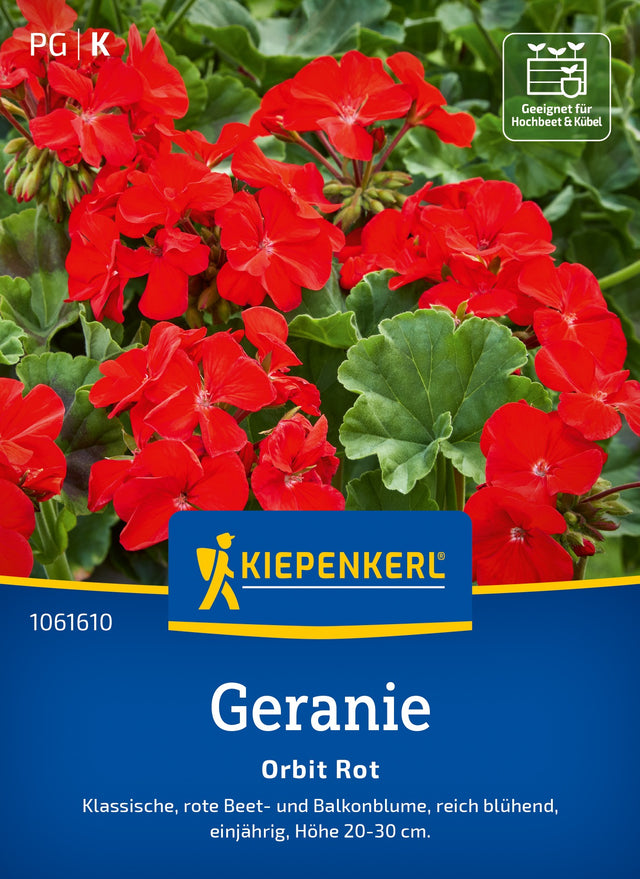 Kiepenkerl Geranien Orbit Rot