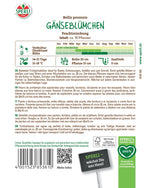 SPERLI Gänseblümchen Prachtmischung