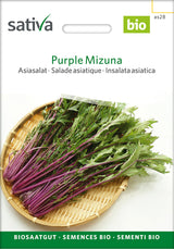 Sativa Asiasalat Purple Mizuna