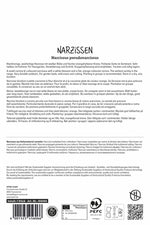 Kleinkronige Narzisse Barrett Browning