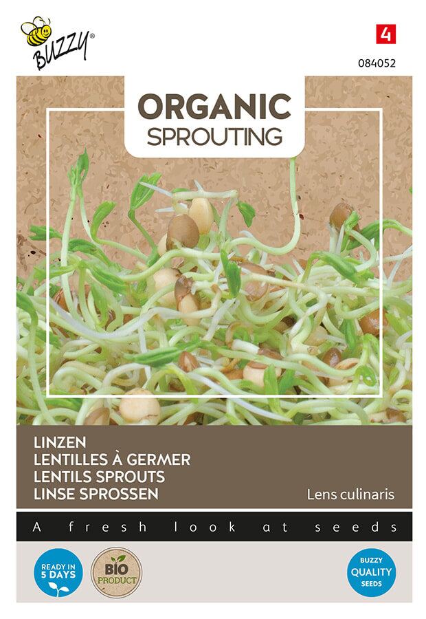 Buzzy Seeds BIO Keimsprossen  Linse (BIO)