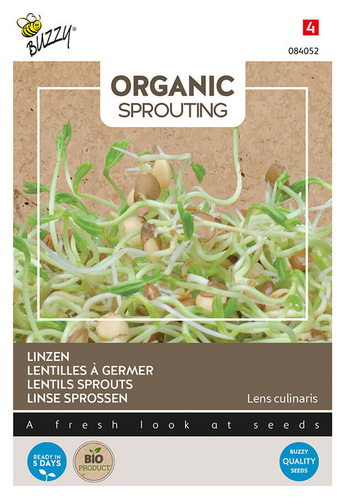 Buzzy Seeds BIO Keimsprossen Linse
