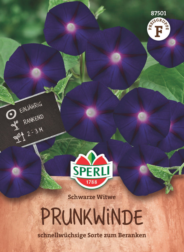 SPERLI Prunkwinde Schwarze Witwe