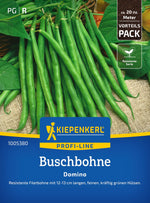 Kiepenkerl Buschbohnen Domino Vorteilspack