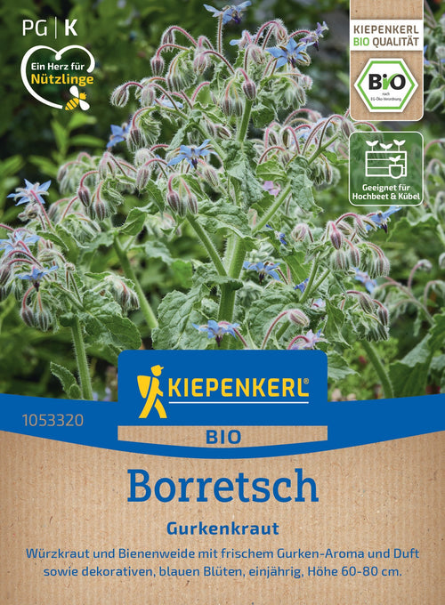 Kiepenkerl Borretsch Gurkenkraut
