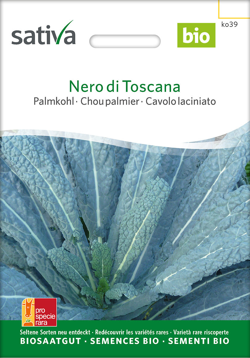 Sativa Palmkohl Nero di Toscana