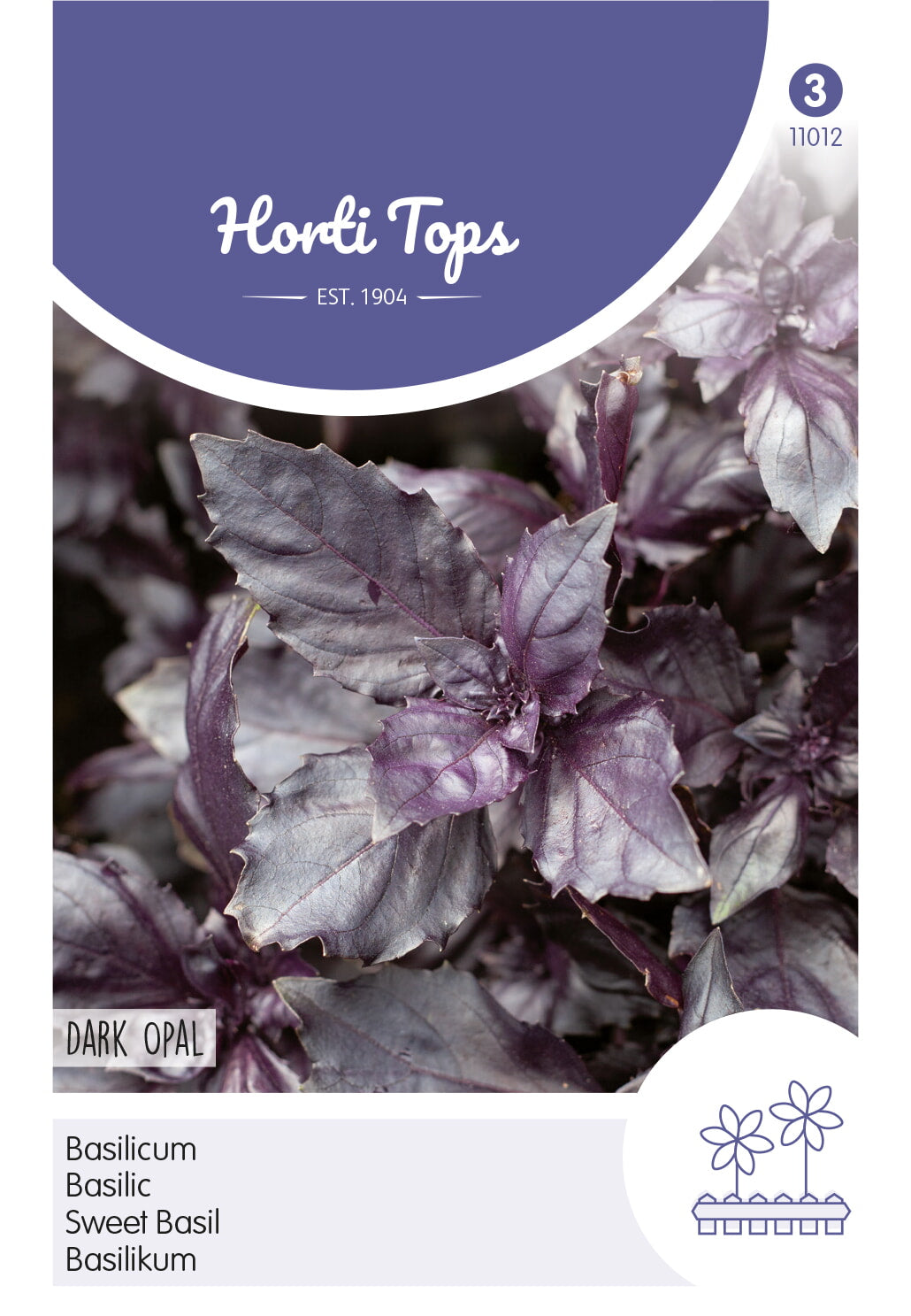 Horti Tops Basilikum Dark Opal