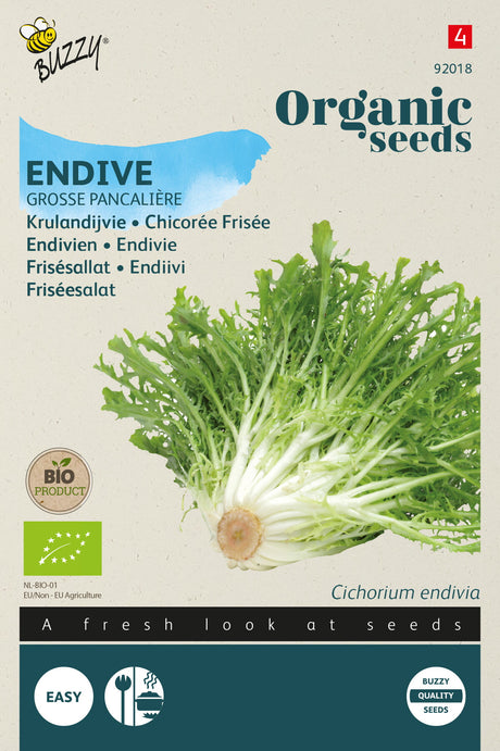 Buzzy Organic Seeds BIO Endiviensalat Grosse Pancalière