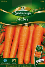 Quedlinburger Möhre Laguna