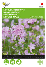 Buzzy Seeds Moschus-Malven