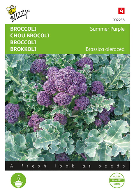 Buzzy Seeds Spargelkohl Summer Purple