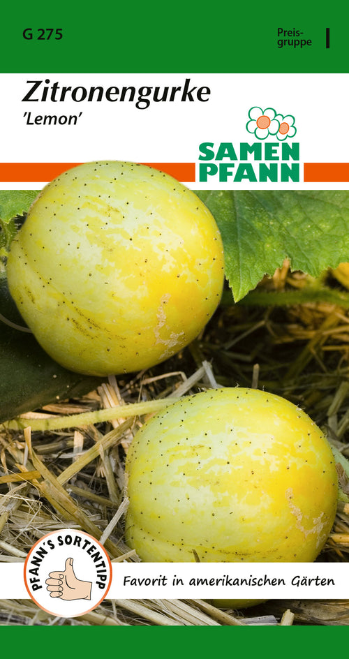 Samen Pfann Lemon Zitronengurke
