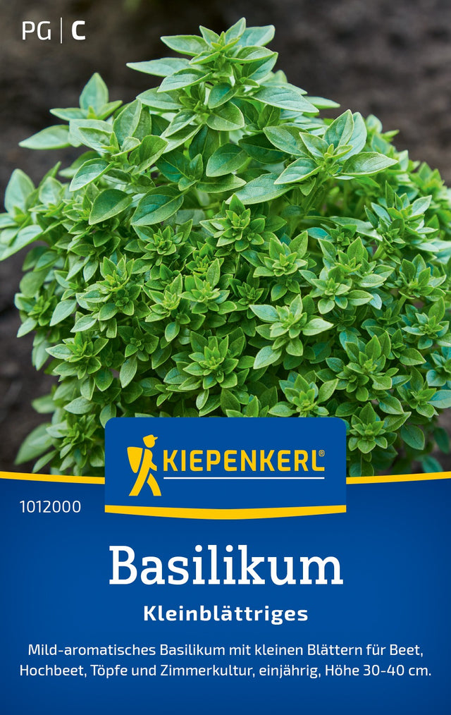 Kiepenkerl Basilikum Kleinblättriges