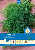 Pabst Keimkraft Dill Tetra Dichtlaubiger