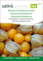 Sativa Andenbeere Physalis 'Schönbrunner Gold'