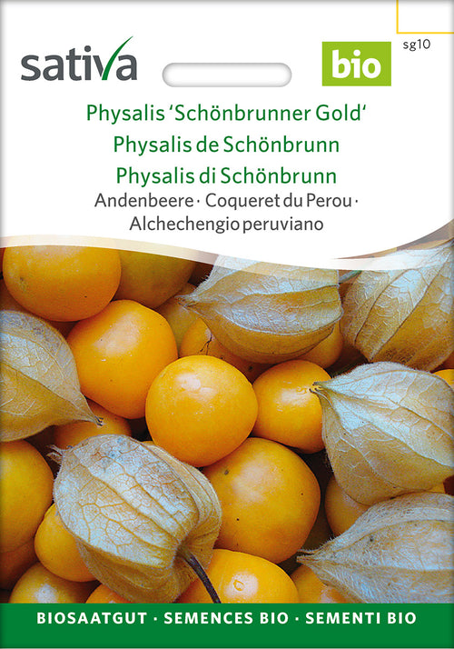 Sativa Andenbeere Physalis 'Schönbrunner Gold'