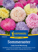 Kiepenkerl Sommeraster Lady Coral Mischung