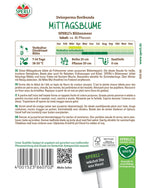 SPERLI Mittagsblume SPERLI's Blütenmeer