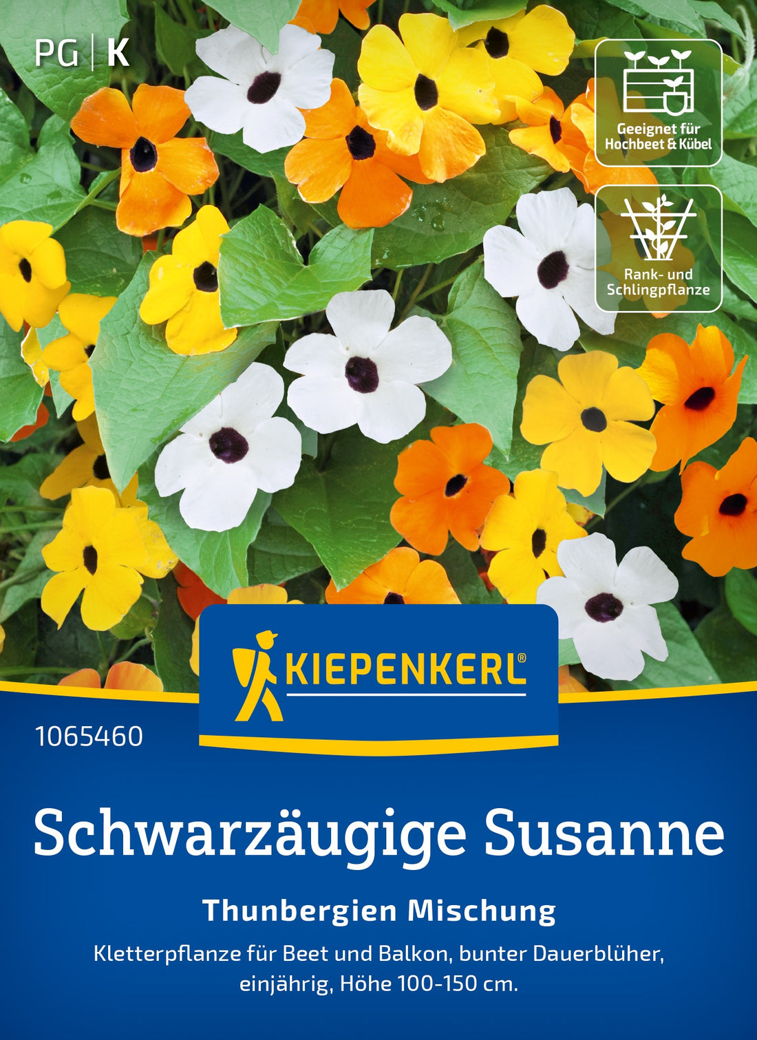 Kiepenkerl Schwarzäugige-susanne Thunbergien Mischung