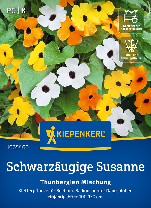 Kiepenkerl Schwarzäugige-susanne Thunbergien Mischung