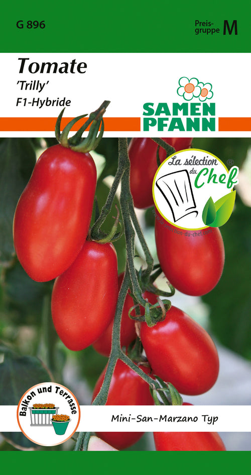 Samen Pfann Tomate Trilly