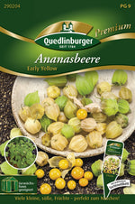 Quedlinburger Ananasbeere Early Yellow