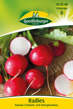 Quedlinburger Radieschen Korund