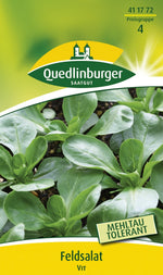 Quedlinburger Feldsalat Vit