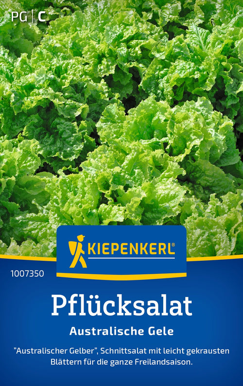 Kiepenkerl Pflück- & Schnittsalat Australische Gele