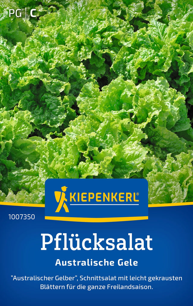 Kiepenkerl Pflück- & Schnittsalat Australische Gele