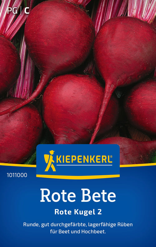 Kiepenkerl Rote-Beete Rote Kugel 2