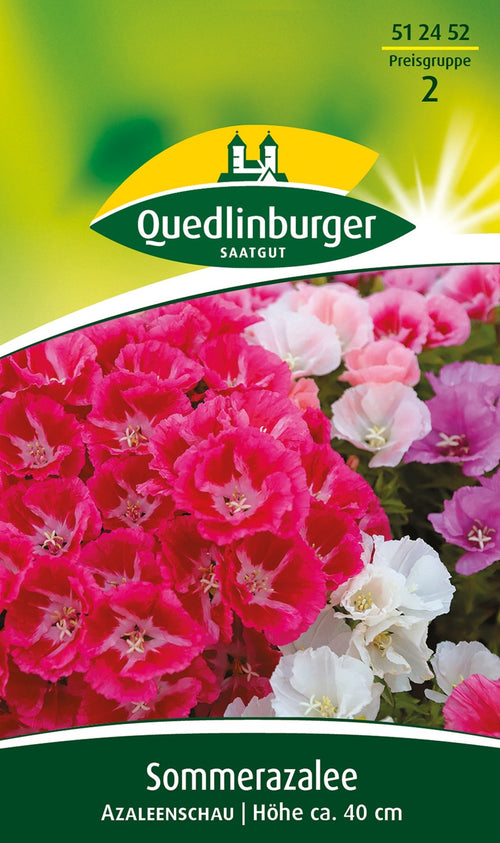 Quedlinburger Sommerazalee Godetia Azaleenschau
