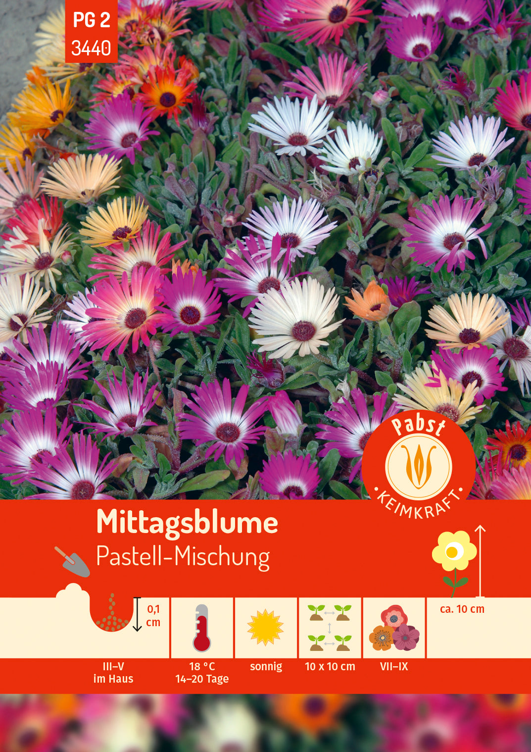 Pabst Keimkraft Mittagsblume Mischung