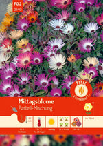 Pabst Keimkraft Mittagsblume Mischung